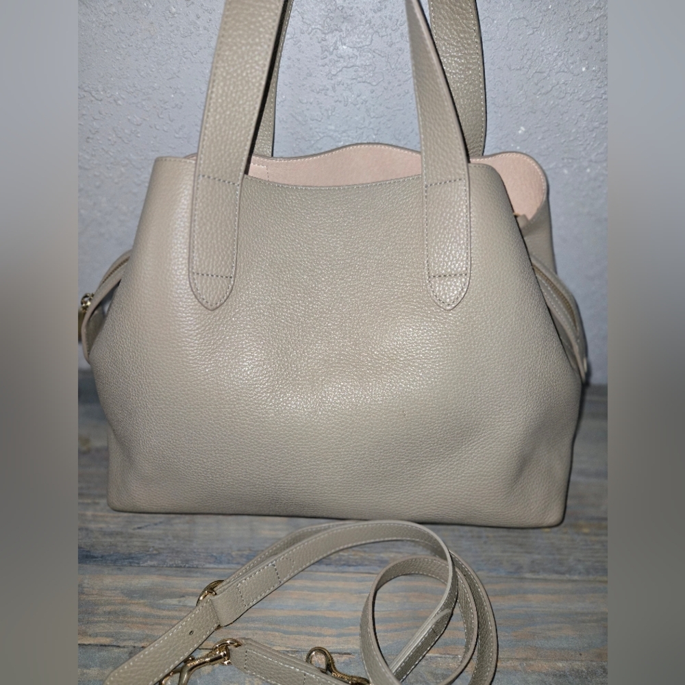 Cuyana Zipper Satchel